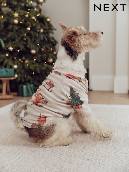 Oatmeal Hamish The Highland Cow - Matching Family Christmas Pet Pyjamas