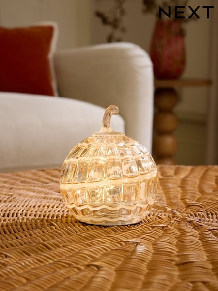 Pumpkin Battery Operated Feature Light