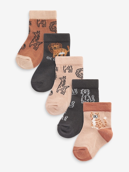 Brauner Löwe - Baby Socks 5 Pack (0mths-2yrs) (102207) | 6 €