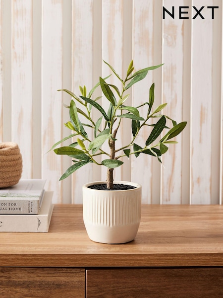 Artificial Mini Olive Tree in Ribbed Ceramic Pot (104906) | 27 €