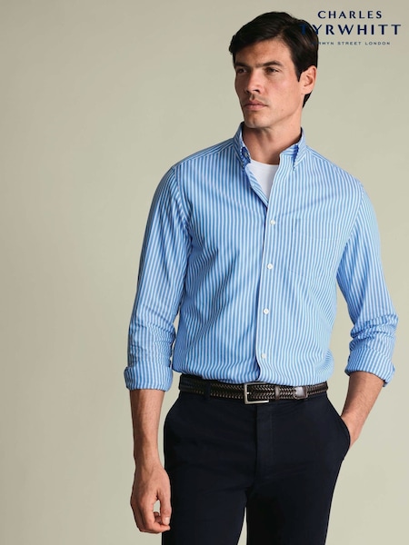 Albastru - Regular Charles Tyrwhitt Stripe Button-down Stretch Washed Poplin Classic Fit Shirt