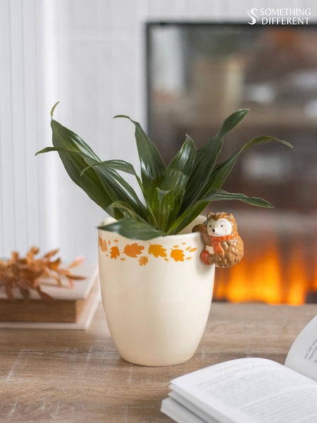 Something Different Autumn Plant Pot With Hedgehog