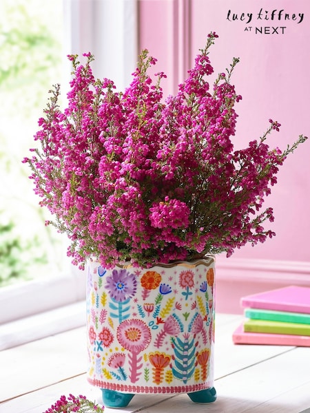 Lucy Tiffney Multi Floral Footed Plant Pot (175874) | €26