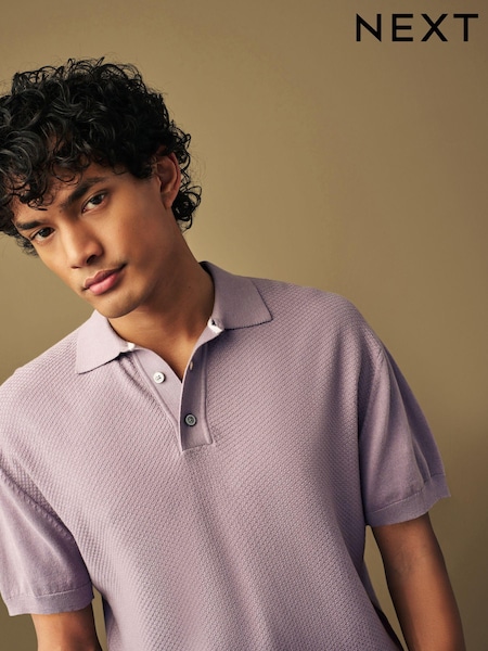 Purple Knitted Bubble Textured Regular Fit Polo Shirt (188235) | €8