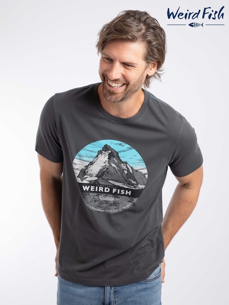 Grey - Regular Weird Fish Mountain Top Front Print Graphic T-shirt