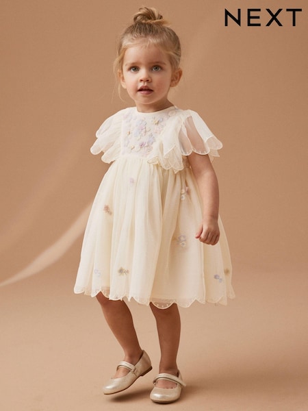 Cream Embroidered Mesh Party Dress (3mths-7yrs) (192442) | €12.50 - €14.50