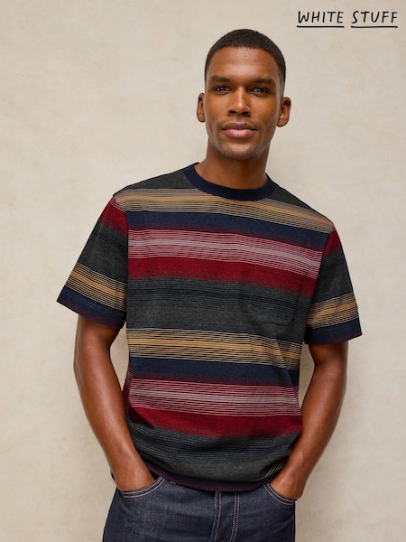 Grey - Regular White Stuff Horsham Stripe T-shirt
