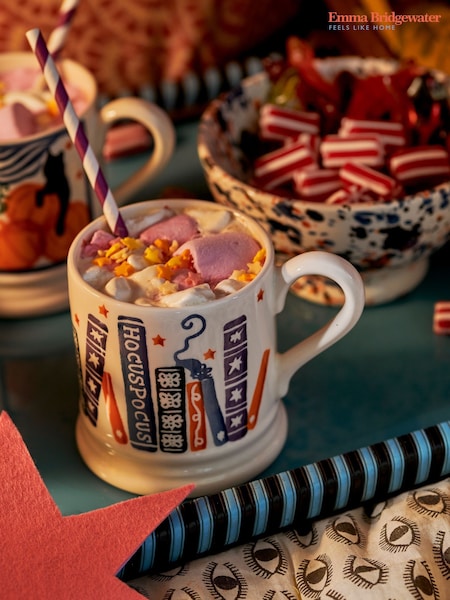 Emma Bridgewater Spell Books 1/2 Pint Mug