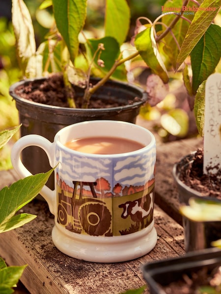Emma Bridgewater Country Icons Autumn Cows 1/2 Pint Mug