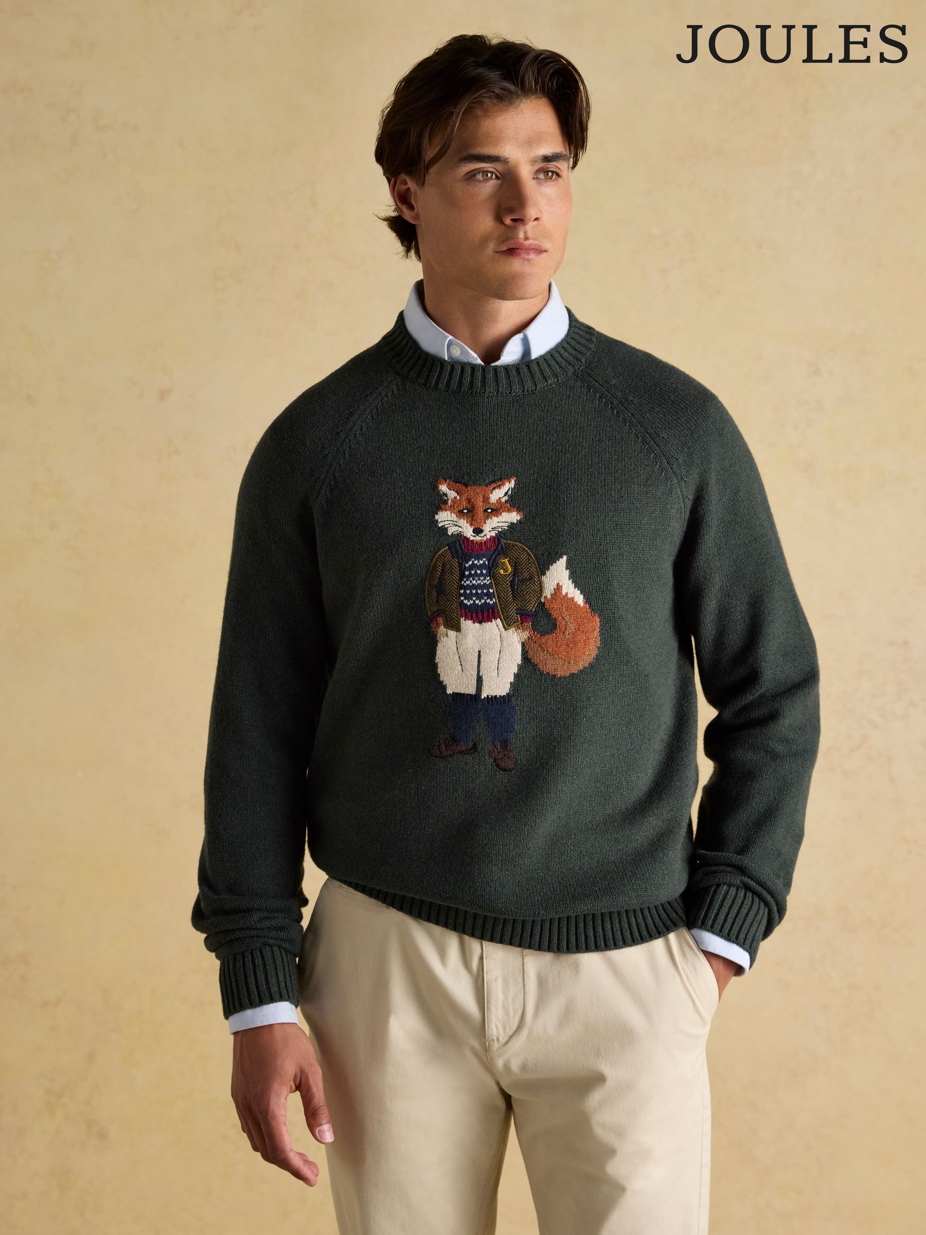 Joules mens jumpers best sale