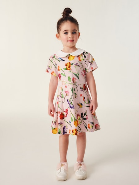 Baker by Ted Baker Pink Floral Collared Ponte Dress (242675) | 17 € - 19 €