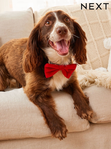 Red Velvet Matching Family Tie (300653) | AED14
