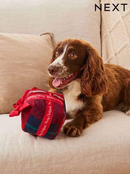 Red Check Christmas Present Pet Toy (303345) | €7.50