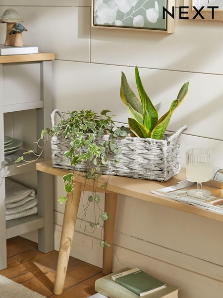 Grey Plastic Wicker Small Storage Basket (319527) | €18