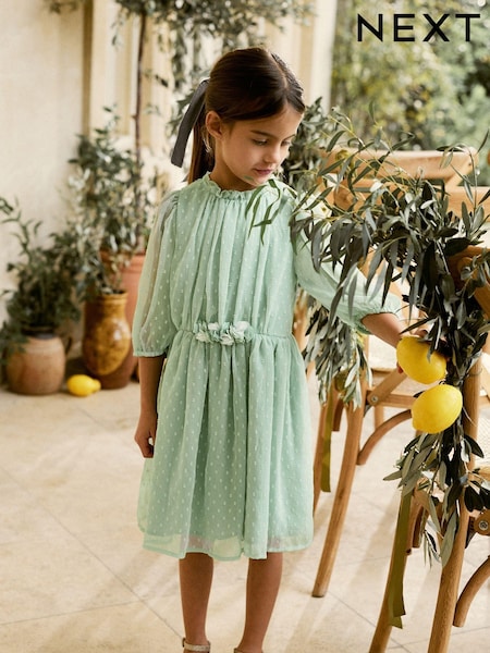 Mint Green Chiffon Corsage Dress (3-16yrs) (362916) | € 5 - € 7