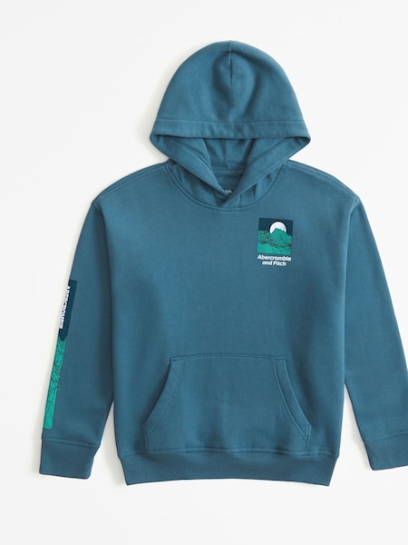 Abercrombie & Fitch Blue Logo Back Print Hoodie (374298) | € 23