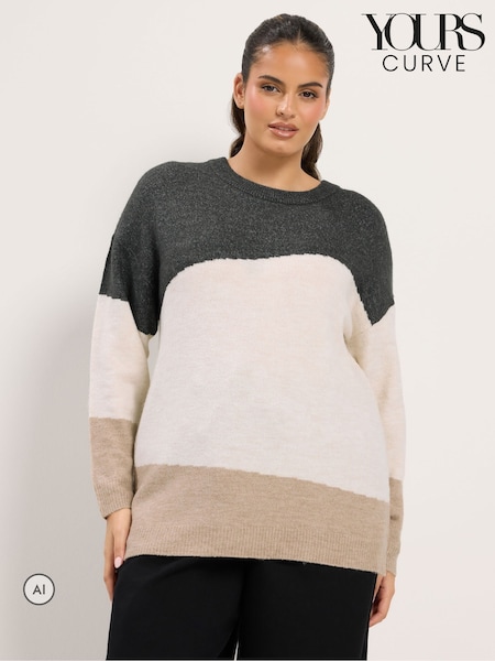 Animal - Yours Curve Colourblock Knit Jumper