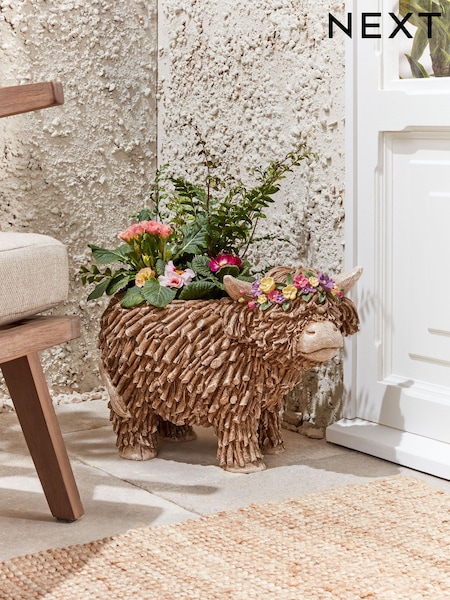 Natural Outdoor Hamish The Highland Cow Plant Pot (3W6464) | €66