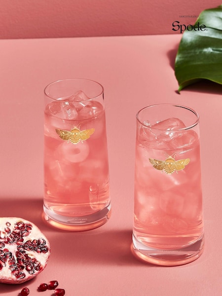 Spode Set of 2 Clear Creatures of Curiosity Hi Ball Glasses (408732) | €35