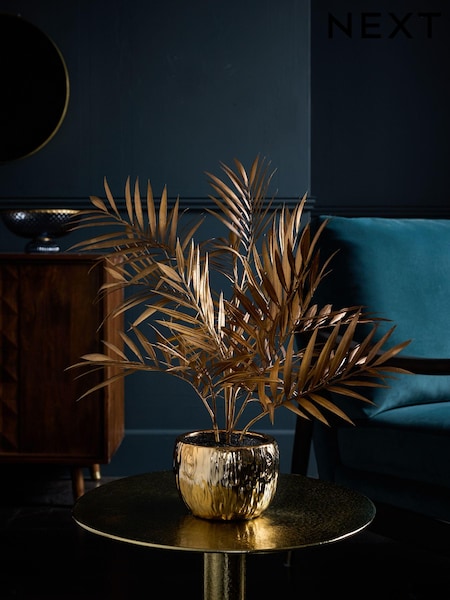 Gold Bold Chic Palm Plant (411105) | €35