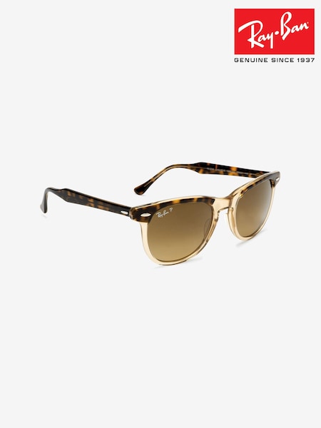 Ray-Ban Eagle Eye Sunglasses (412652) | 345 €