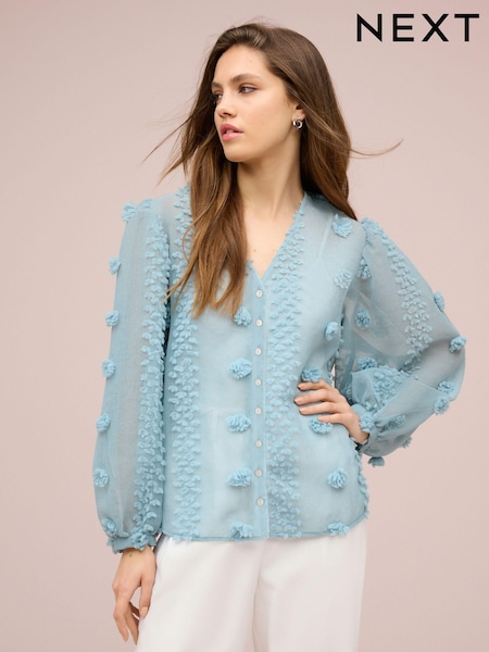 Blue Sheer V-Neck 3D Tufty Puff Sleeve Blouse (435603) | € 29