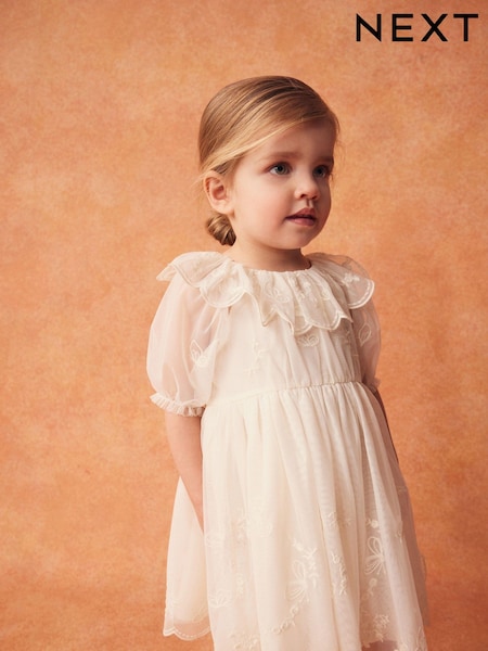 Cream Embroidered Mesh Party Dress (3mths-8yrs) (447260) | 86 QAR - 107 QAR