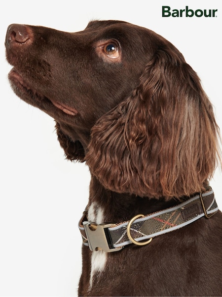 Barbour® Green Reflective Tartan Dog Collar (449316) | €48