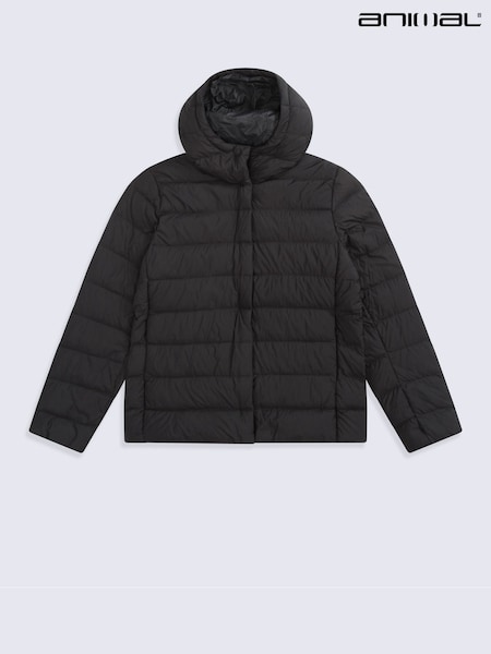 Black - Animal Lightweight Down Packable Jacket