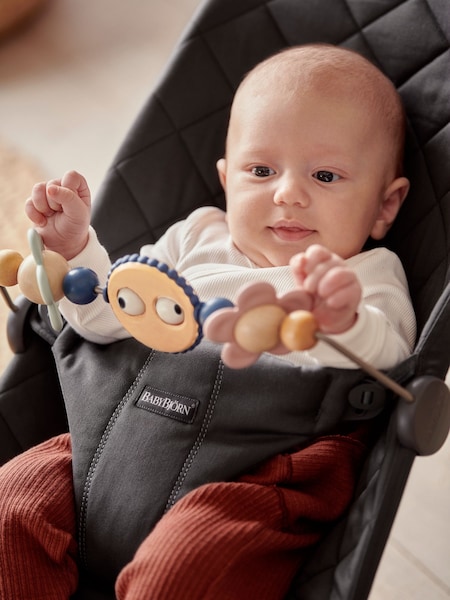BabyBjörn Natural Toy for Bouncer Googly Eyes Pastels (495962) | €60