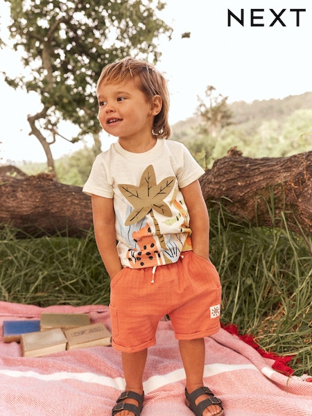 Cream Jungle Appliqué - 100% Cotton T-Shirt And Shorts Set (3mths-7yrs) (514942) | € 11 - € 15