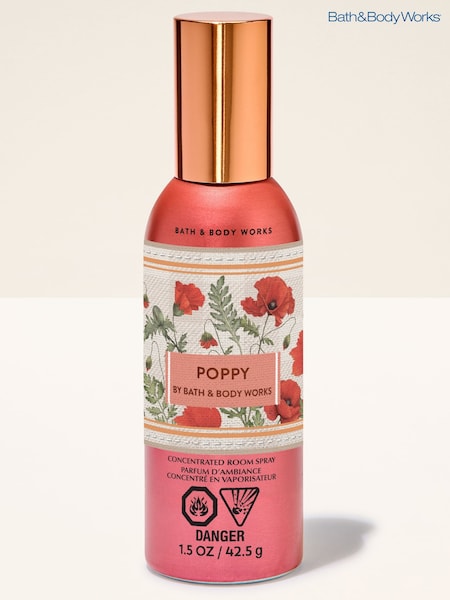 Bath & Body Works Concentrated Room Spray