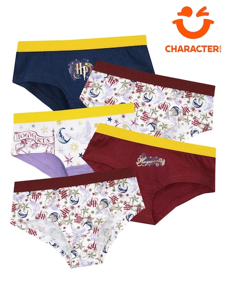 Character Grey Kids Harry Potter Multipack 100% Cotton Briefs 5 Pack (531412) | €20