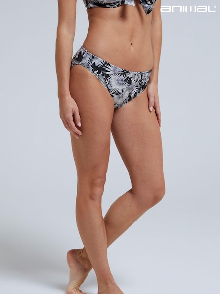 Animal Womens Blue Docks Printed Bikini Bottoms (537071) | €14.50