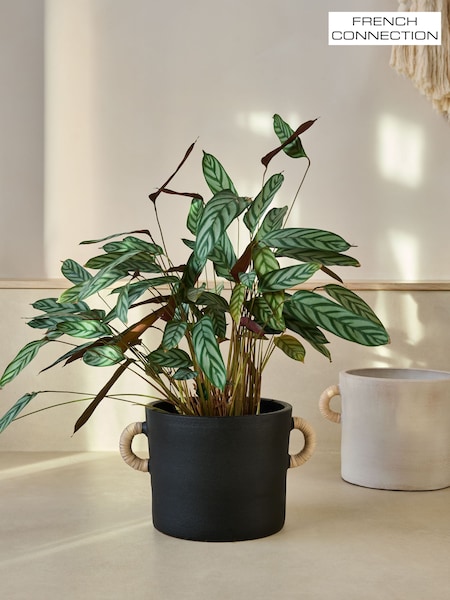 French Connection Black Large Terracotta Plant Pot (537923) | €68