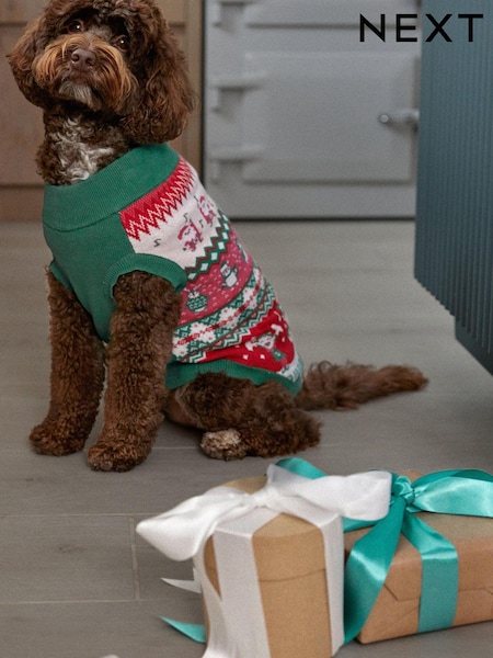 Pink/Green Dancing Elves Christmas Dog Jumper (541939) | €8