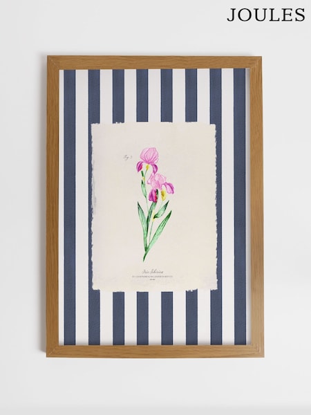 Joules Iris In Bloom Wood Framed Print Wall Art