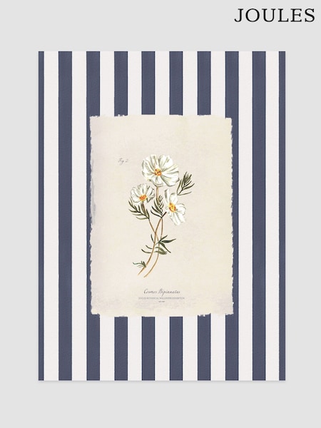 Joules Dancing Cosmos Print Wall Art