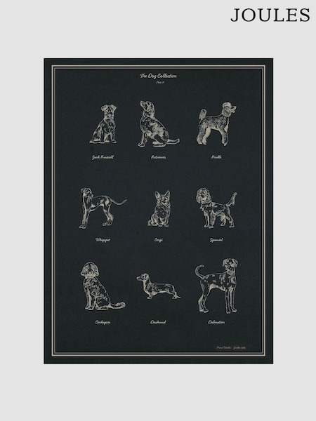 Joules The Best In Show Wood Mounted Framed Print Wall Art
