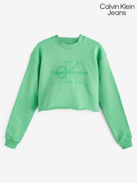 Calvin Klein Jeans Green Embroidered Monolog Jumper (547631) | €42