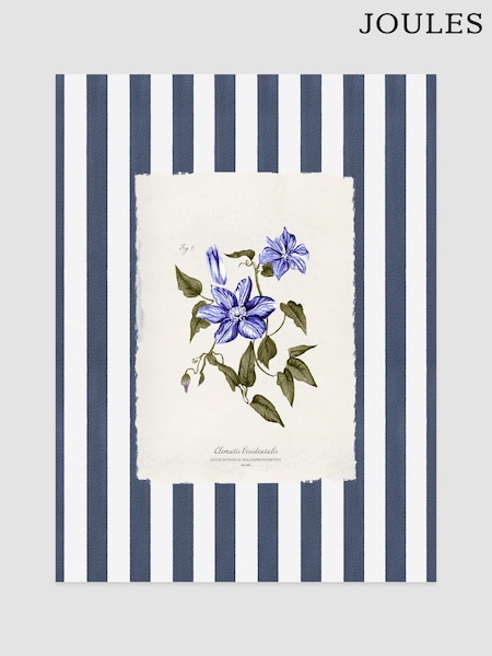 Joules Clematis Climber Wood Mounted Framed Print Wall Art