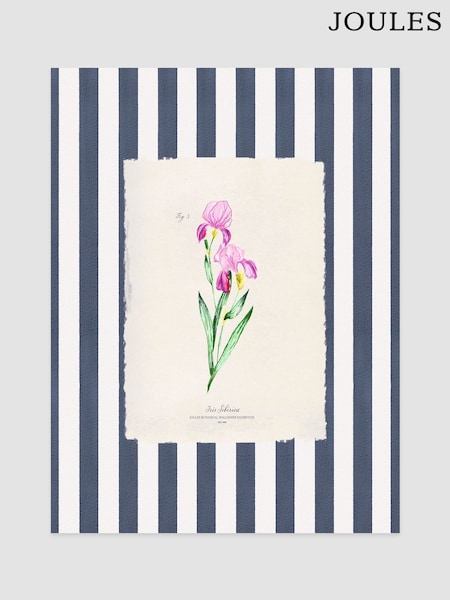 Joules Iris In Bloom Print Wall Art