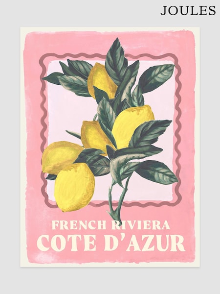 Joules Squeeze The Day Print Wall Art