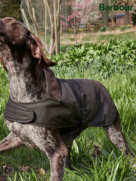 Barbour® Olive Green Wax Dog Coat (556786) | 333 QAR