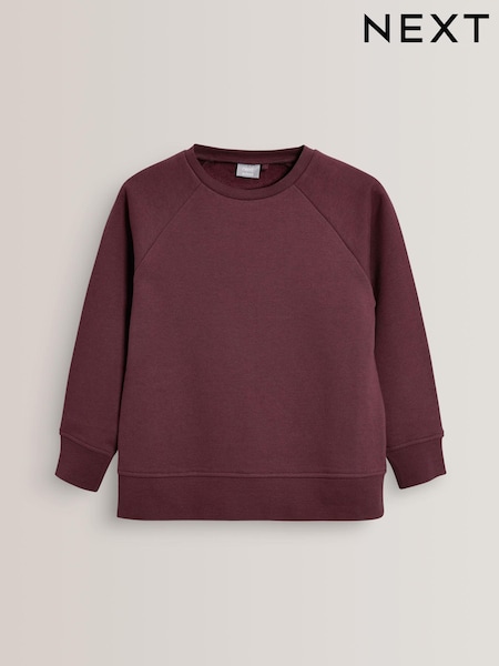 Burgundy Red 1 Pack Crew Neck School Sweater (3-16yrs) (568267) | INR 728 - INR 1,455