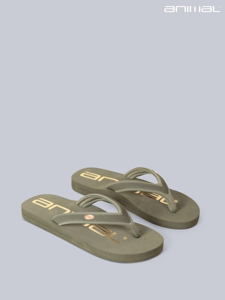 Animal Green Olive Womens Swish Flip Flops (568951) | ₪101