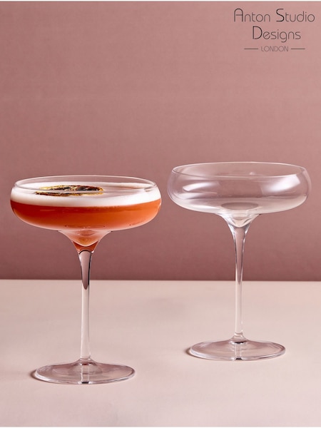 Anton Studio Designs Set Of 2 Juno Champagne Coupes
