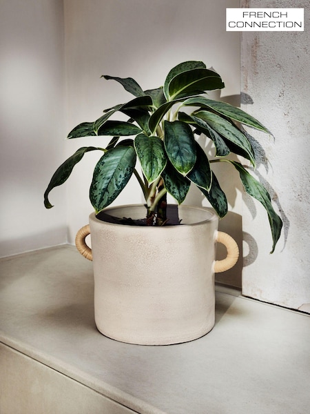 French Connection Natural Large Terracotta Plant Pot (647928) | €68