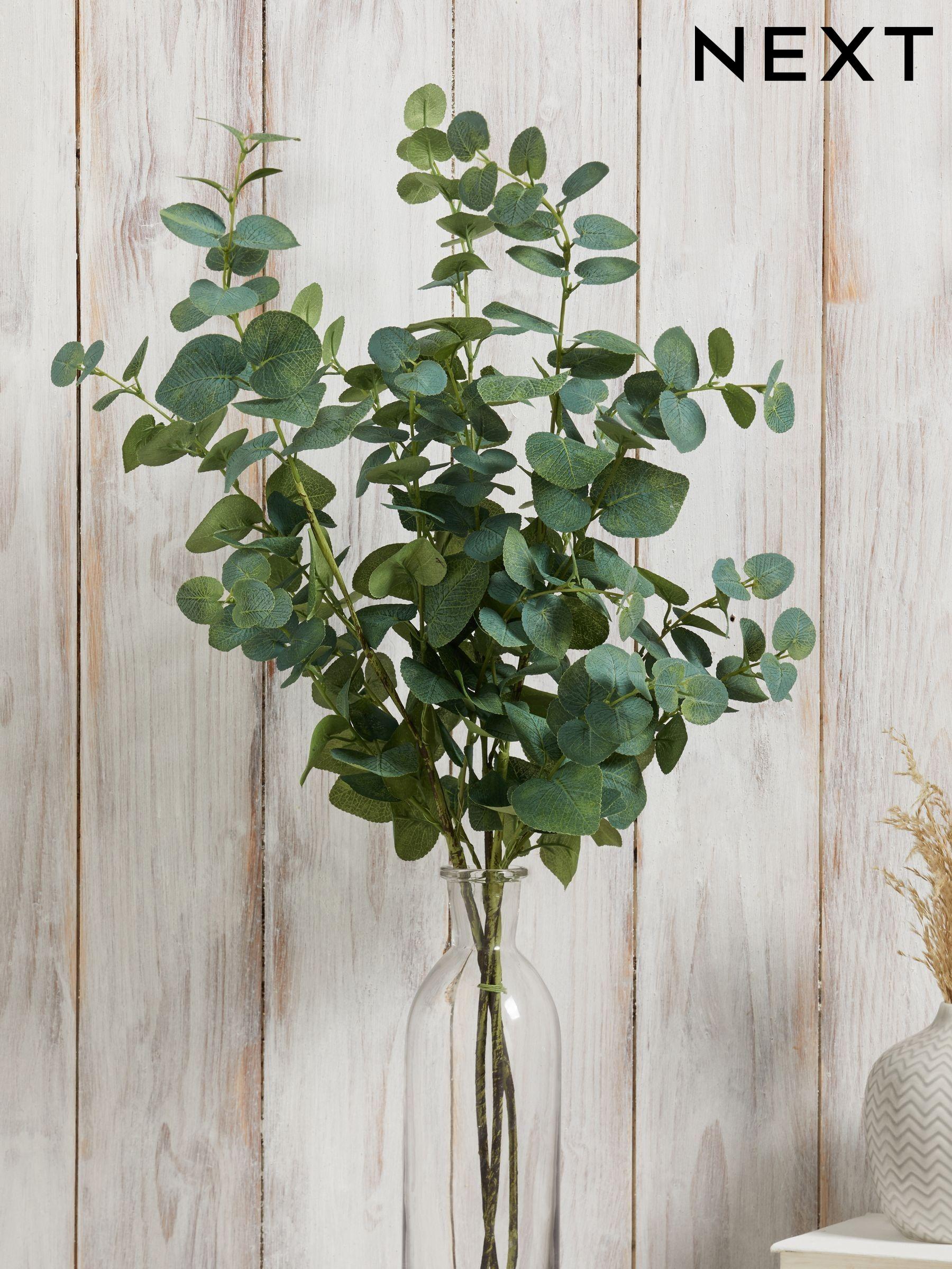 Next artificial plants discount