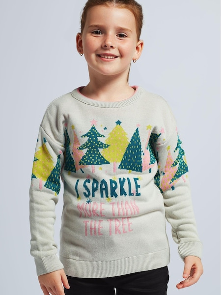 Harry Bear Grey Christmas Jumper (658184) | €13